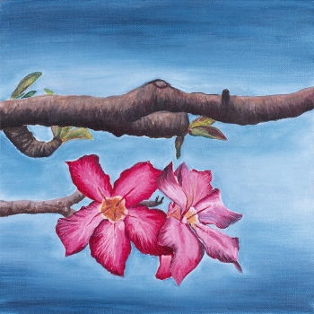 Flower in pink
