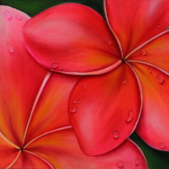 Frangipani #1