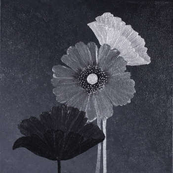 Graphite Poppies