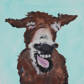 Laughing Donkey