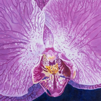 Soul of an Orchid