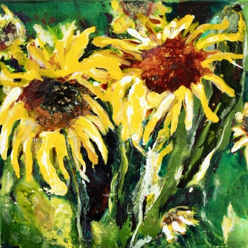 Sunflowers